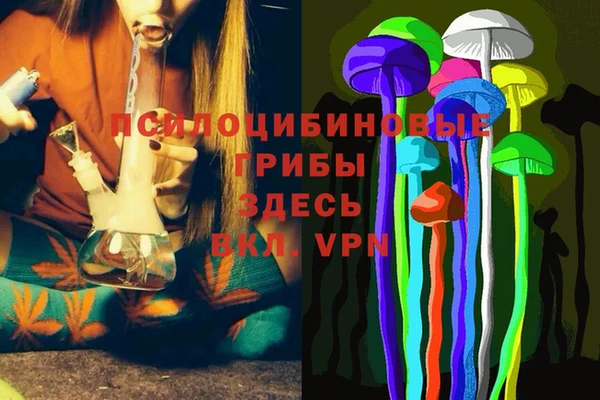 скорость Аркадак